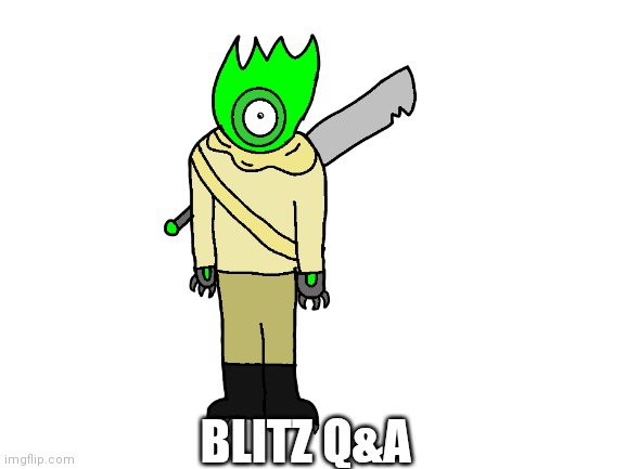 Insert name here | BLITZ Q&A | image tagged in blank white template | made w/ Imgflip meme maker