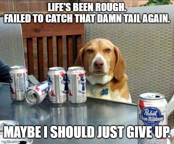 beer dog | LIFE'S BEEN ROUGH.
FAILED TO CATCH THAT DAMN TAIL AGAIN. MAYBE I SHOULD JUST GIVE UP. | image tagged in beer dog | made w/ Imgflip meme maker