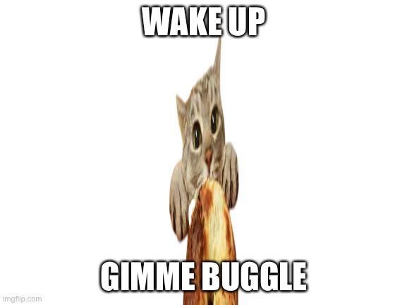 Blank White Template | WAKE UP; GIMME BUGGLE | image tagged in blank white template | made w/ Imgflip meme maker