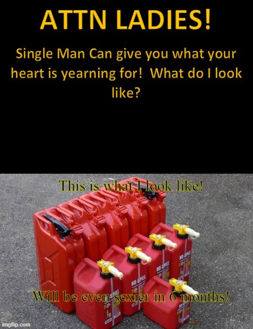 Car Fuel seeking Love | image tagged in car fuel seeking love,ConservativeMemes | made w/ Imgflip meme maker