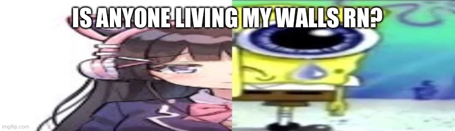 lol | IS ANYONE LIVING MY WALLS RN? | image tagged in lol | made w/ Imgflip meme maker