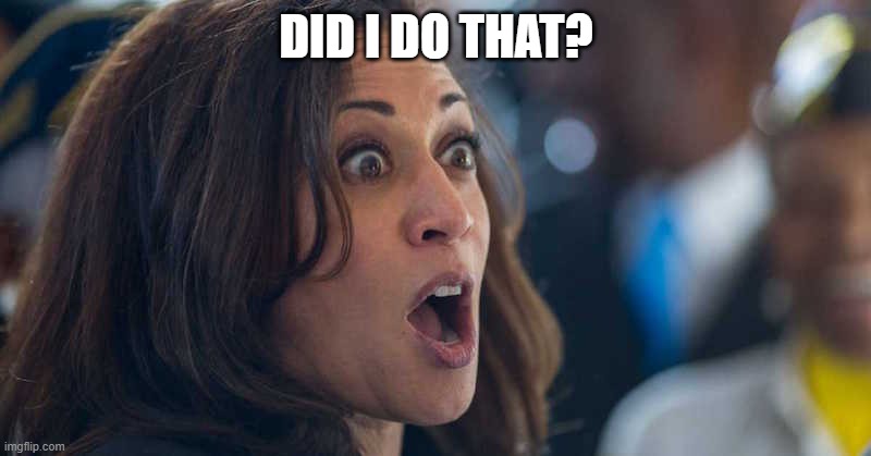 kamala harriss | DID I DO THAT? | image tagged in kamala harriss | made w/ Imgflip meme maker