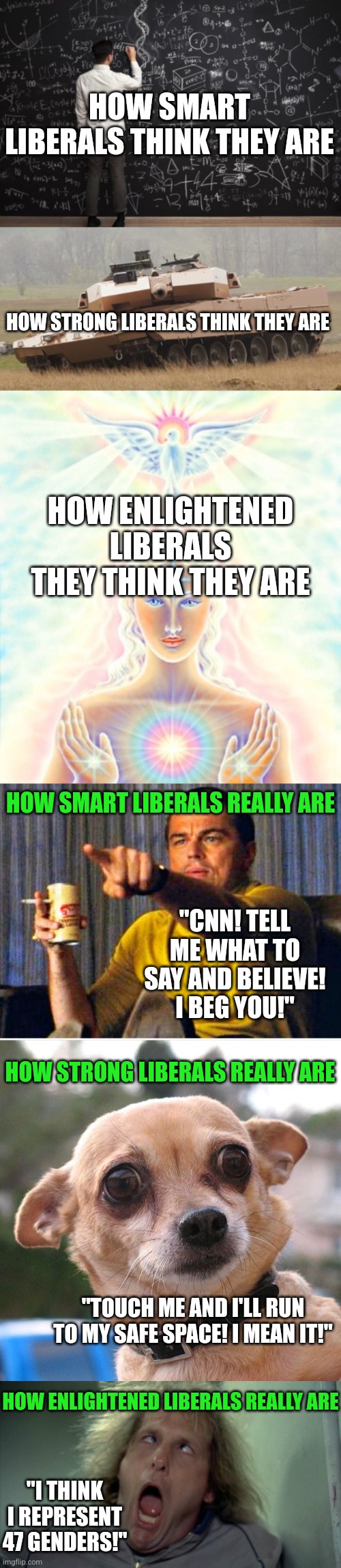 Funniest thing in the world.....a liberal snowflake who thinks they are tough! It's hilarious watching them pretend. | HOW SMART LIBERALS THINK THEY ARE; HOW STRONG LIBERALS THINK THEY ARE; HOW ENLIGHTENED LIBERALS THEY THINK THEY ARE; HOW SMART LIBERALS REALLY ARE; "CNN! TELL ME WHAT TO SAY AND BELIEVE! I BEG YOU!"; HOW STRONG LIBERALS REALLY ARE; "TOUCH ME AND I'LL RUN TO MY SAFE SPACE! I MEAN IT!"; HOW ENLIGHTENED LIBERALS REALLY ARE; "I THINK I REPRESENT 47 GENDERS!" | image tagged in liberal logic,expectation vs reality,weakness,snowflakes,lol so funny,enlightenment | made w/ Imgflip meme maker