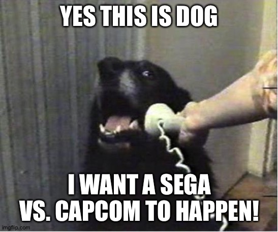 Yes this is dog | YES THIS IS DOG; I WANT A SEGA VS. CAPCOM TO HAPPEN! | image tagged in yes this is dog | made w/ Imgflip meme maker