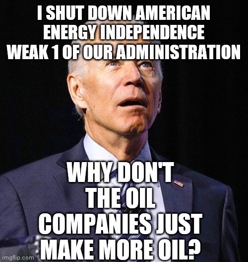 American Oil Lowers Cost | I SHUT DOWN AMERICAN ENERGY INDEPENDENCE WEAK 1 OF OUR ADMINISTRATION; WHY DON'T THE OIL COMPANIES JUST MAKE MORE OIL? | image tagged in joe biden,lost in the woods,ww3,vladimir putin,blink,fighting | made w/ Imgflip meme maker