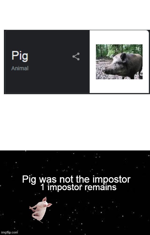 So I searched "sus" and it appeared pig. | image tagged in memes,sus,sussy | made w/ Imgflip meme maker