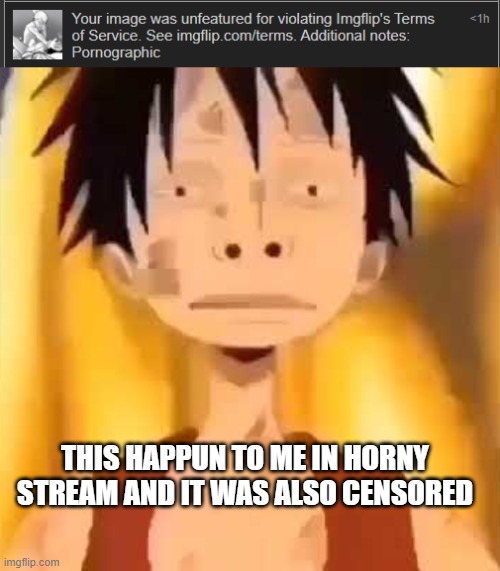 THIS HAPPUN TO ME IN HORNY STREAM AND IT WAS ALSO CENSORED | image tagged in luffy two big nose | made w/ Imgflip meme maker