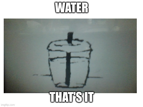 water | WATER; THAT'S IT | image tagged in water,that's it,nothing else | made w/ Imgflip meme maker