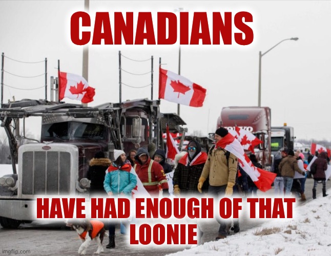 Freedom truckers | CANADIANS HAVE HAD ENOUGH OF THAT
LOONIE | image tagged in freedom truckers | made w/ Imgflip meme maker