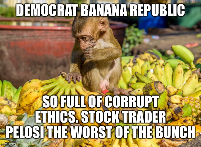 Banana republic | DEMOCRAT BANANA REPUBLIC SO FULL OF CORRUPT ETHICS. STOCK TRADER PELOSI THE WORST OF THE BUNCH | image tagged in banana republic | made w/ Imgflip meme maker