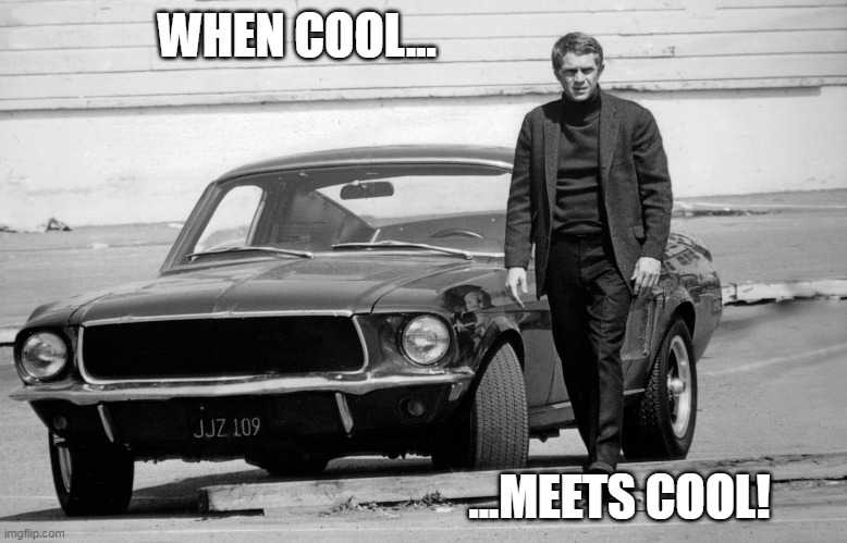 McQueen Mustang | WHEN COOL... ...MEETS COOL! | image tagged in mcqueen,cool,mustang,bullett | made w/ Imgflip meme maker