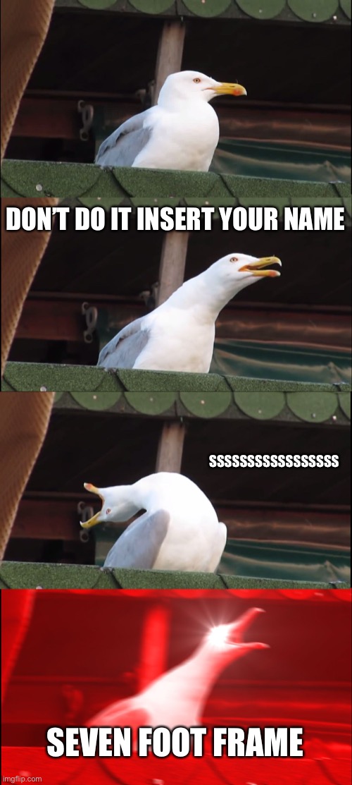 Inhaling Seagull Meme | DON’T DO IT INSERT YOUR NAME; SSSSSSSSSSSSSSSSS; SEVEN FOOT FRAME | image tagged in memes,inhaling seagull | made w/ Imgflip meme maker