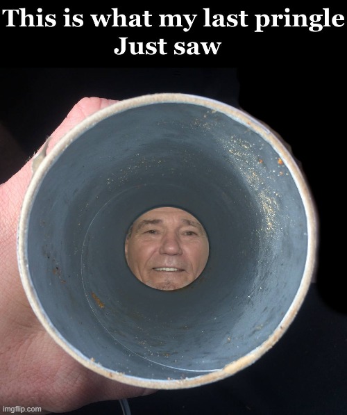 The last pringles view | THIS IS WHAT MY LAST PRINGLE JUST SAW | image tagged in last pringle,view | made w/ Imgflip meme maker