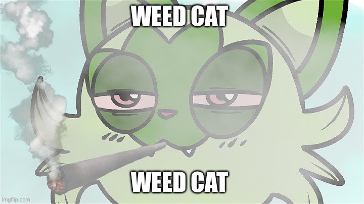 Weed cat | WEED CAT; WEED CAT | image tagged in weed cat | made w/ Imgflip meme maker