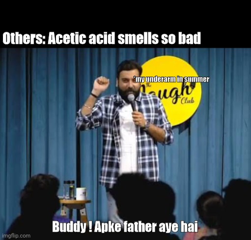 Summer days | Others: Acetic acid smells so bad; *my underarm in summer; Buddy ! Apke father aye hai | image tagged in summer,stand up comedian,stand up comedy,bassi | made w/ Imgflip meme maker