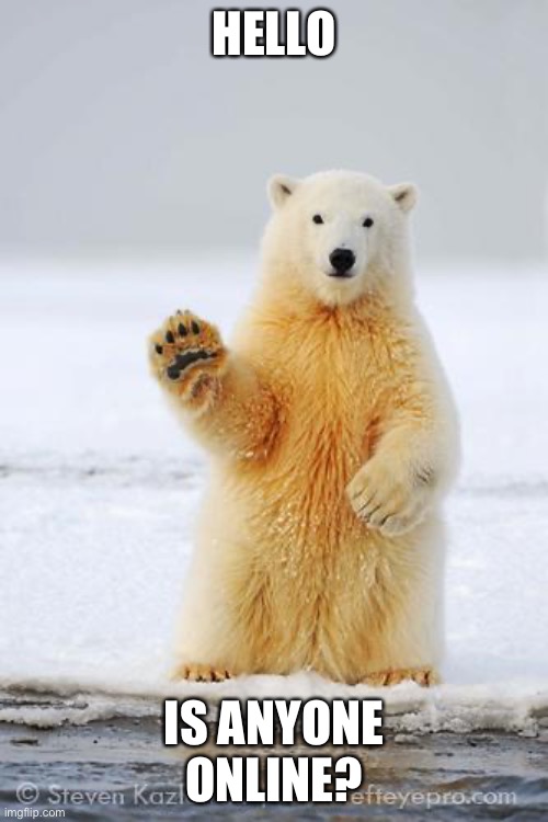 I’m so bored | HELLO; IS ANYONE ONLINE? | image tagged in hello polar bear | made w/ Imgflip meme maker