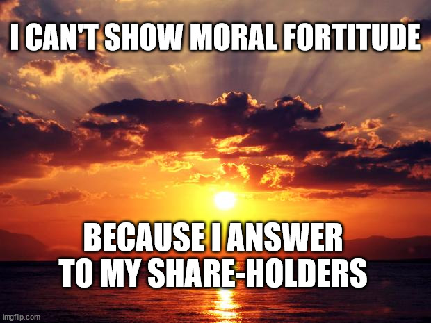 Sunset | I CAN'T SHOW MORAL FORTITUDE; BECAUSE I ANSWER TO MY SHARE-HOLDERS | image tagged in sunset | made w/ Imgflip meme maker