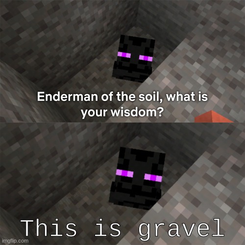 Enderman of the soil | This is gravel | image tagged in enderman of the soil | made w/ Imgflip meme maker