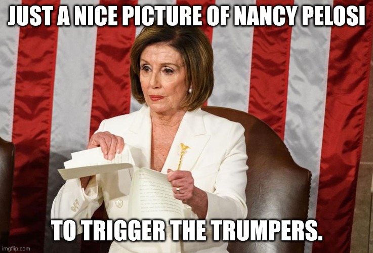 Best moment of the 2020 SOTU | JUST A NICE PICTURE OF NANCY PELOSI; TO TRIGGER THE TRUMPERS. | image tagged in nancy pelosi rips trump speech,nancy pelosi,state of the union | made w/ Imgflip meme maker