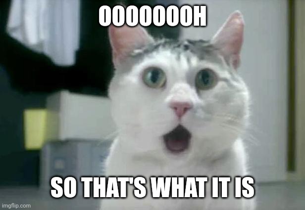 OMG Cat Meme | OOOOOOOH SO THAT'S WHAT IT IS | image tagged in memes,omg cat | made w/ Imgflip meme maker