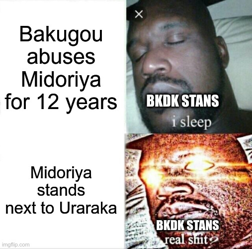 Sleeping Shaq Meme | Bakugou abuses Midoriya for 12 years; BKDK STANS; Midoriya stands next to Uraraka; BKDK STANS | image tagged in memes,sleeping shaq | made w/ Imgflip meme maker