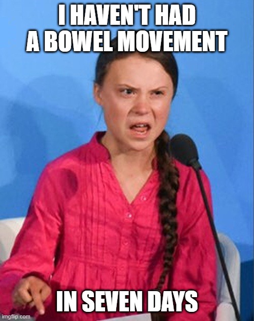 Greta Thunberg how dare you | I HAVEN'T HAD A BOWEL MOVEMENT; IN SEVEN DAYS | image tagged in greta thunberg how dare you | made w/ Imgflip meme maker