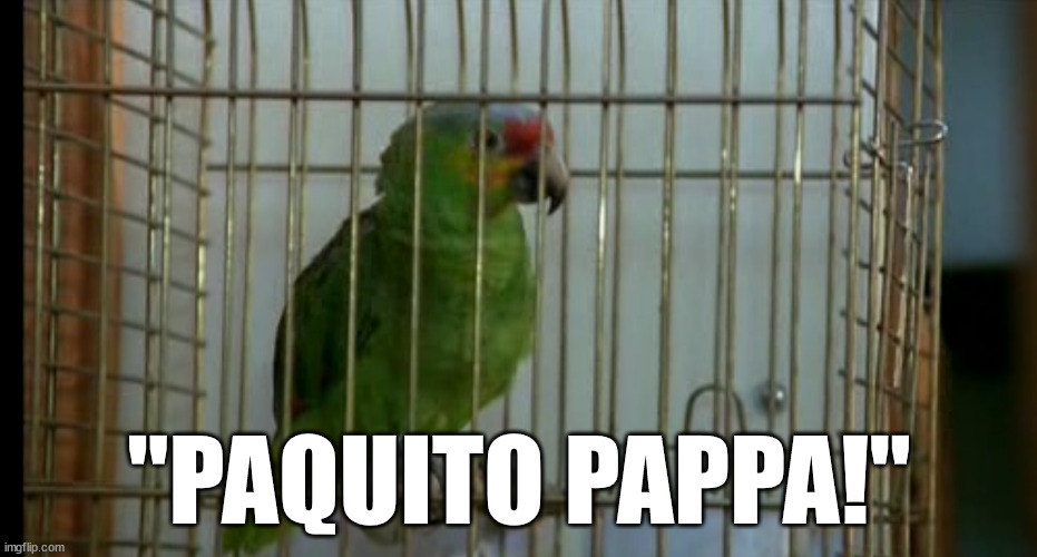 Paquito pappa | "PAQUITO PAPPA!" | image tagged in paquito pappa,bud spencer | made w/ Imgflip meme maker