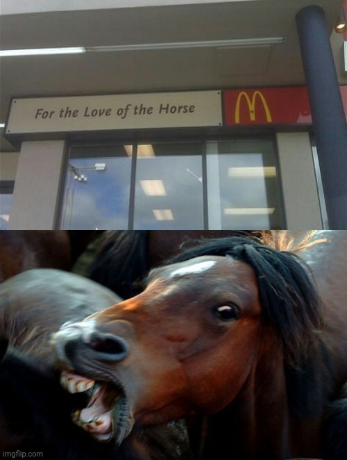 Secret ingredient fail | image tagged in angry horse,you had one job,mcdonald's,mcdonalds,memes,horse | made w/ Imgflip meme maker