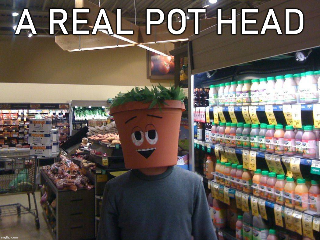 A REAL POT HEAD | image tagged in eye roll | made w/ Imgflip meme maker