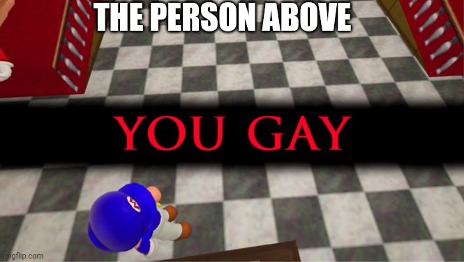 You are gay | THE PERSON ABOVE | image tagged in you are gay | made w/ Imgflip meme maker