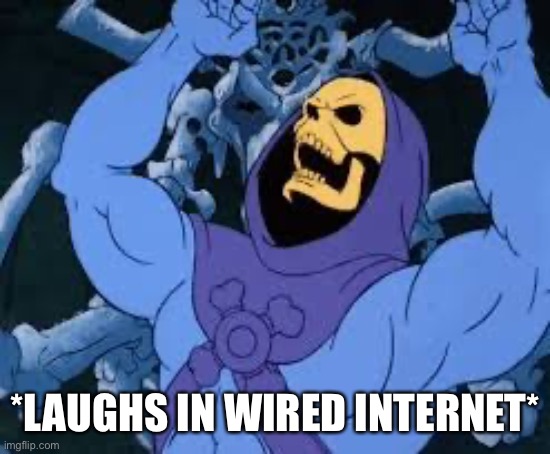 Evil Laugh Skeletor | *LAUGHS IN WIRED INTERNET* | image tagged in evil laugh skeletor | made w/ Imgflip meme maker