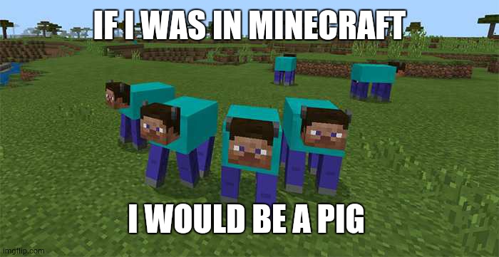 me and the boys | IF I WAS IN MINECRAFT; I WOULD BE A PIG | image tagged in me and the boys | made w/ Imgflip meme maker