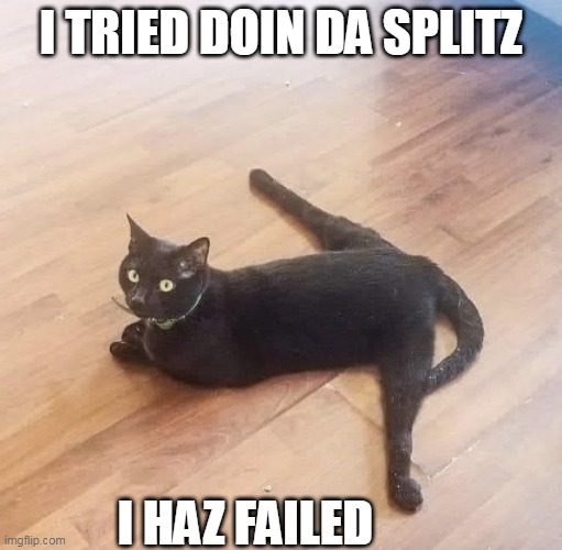 AT LEAST HE TRIED | I TRIED DOIN DA SPLITZ; I HAZ FAILED | image tagged in funny cats,cats | made w/ Imgflip meme maker