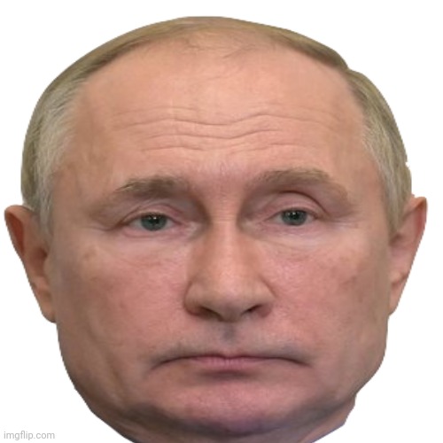 Putin does not approve | image tagged in putin | made w/ Imgflip meme maker