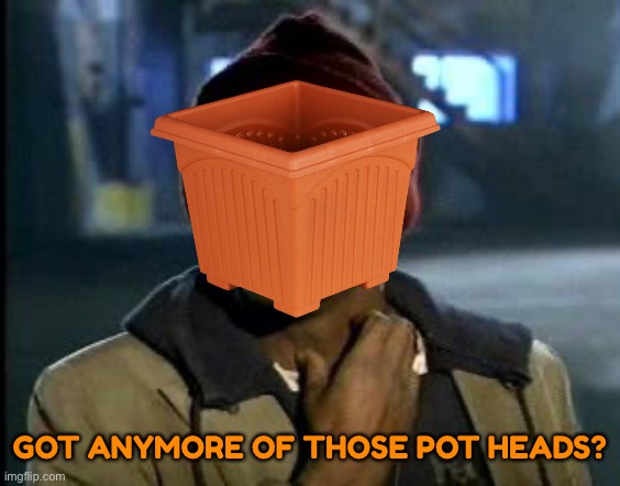 GOT ANYMORE OF THOSE POT HEADS? | made w/ Imgflip meme maker