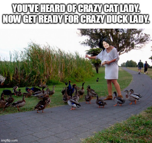 NOTHIN WRONG WITH THAT | YOU'VE HEARD OF CRAZY CAT LADY. NOW GET READY FOR CRAZY DUCK LADY. | image tagged in ducks,duck | made w/ Imgflip meme maker