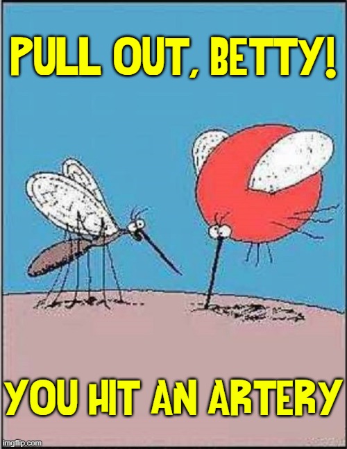When Not to Swat | PULL OUT, BETTY! YOU HIT AN ARTERY | image tagged in vince vance,comics/cartoons,memes,mosquitos,blood | made w/ Imgflip meme maker