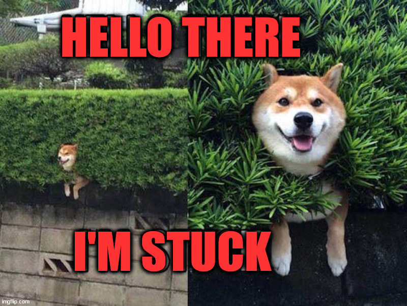 HELLO THERE; I'M STUCK | image tagged in dogs | made w/ Imgflip meme maker