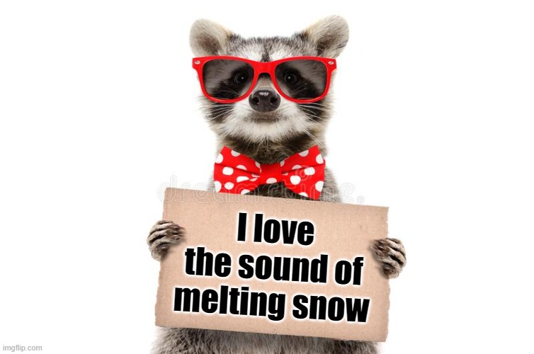 The last snow of the season for east Tennessee! | I love the sound of melting snow | image tagged in spring,spring time,snow,snow melting,end of winter | made w/ Imgflip meme maker
