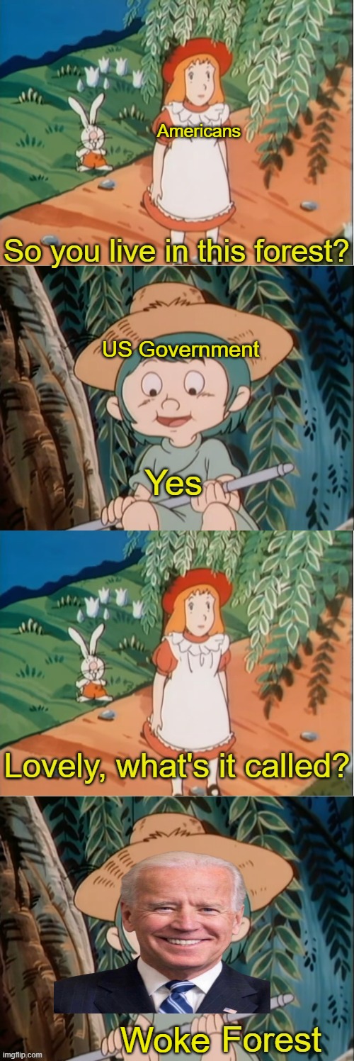 The Government cares more about if reparations are payed from 150 years ago than an innocent nation falls | Americans; US Government; Woke | image tagged in blank forest,woke | made w/ Imgflip meme maker