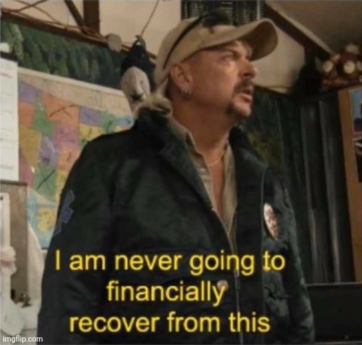 Tiger King Finances | image tagged in tiger king finances | made w/ Imgflip meme maker