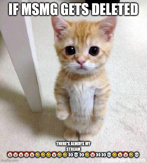 Imagine it actually does, lmao | IF MSMG GETS DELETED; THERE'S ALWAYS MY STREAM 🤡🤡🤡🤡🤡🤣🤣🤣🤡🤣🤣👀💀👀🤣🤡👀👀💀🤣🤡🤡🤣💀 | image tagged in memes,cute cat | made w/ Imgflip meme maker