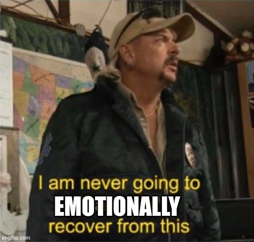 Tiger King Finances | EMOTIONALLY | image tagged in tiger king finances | made w/ Imgflip meme maker