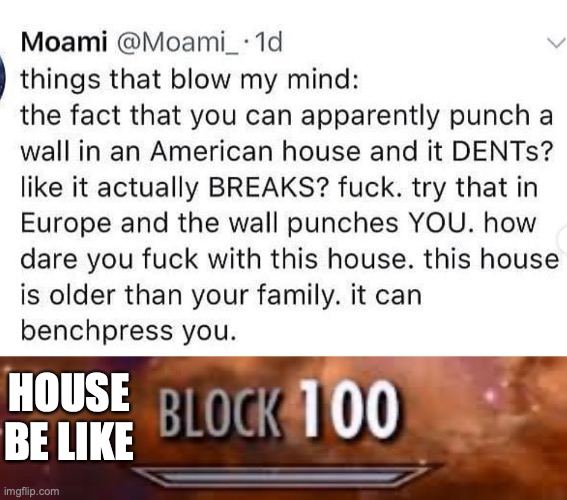 house punch you! | HOUSE BE LIKE | image tagged in skyrim block 100,fun,funny,memes | made w/ Imgflip meme maker