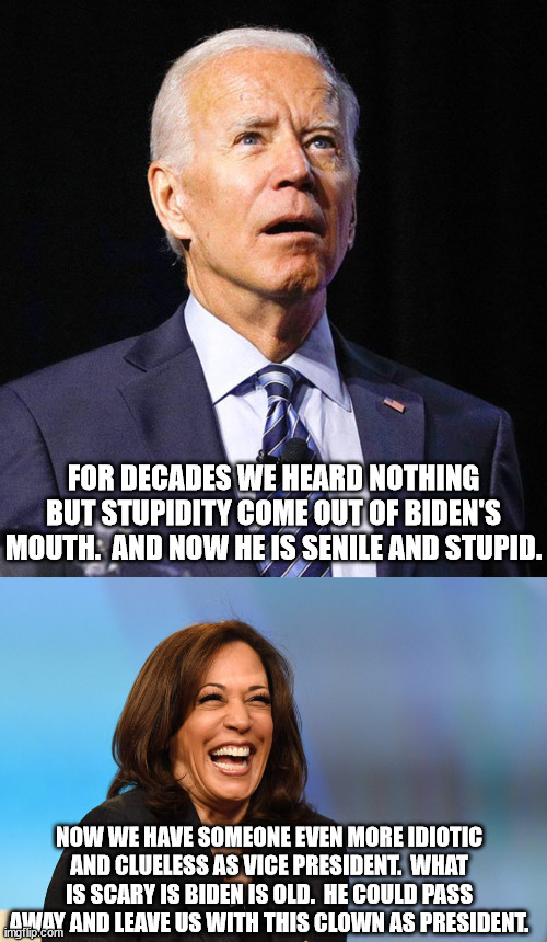 Democrats love to inflate thier egos with how they are the most intelligent people.  If so, why did they vote for these two? | FOR DECADES WE HEARD NOTHING BUT STUPIDITY COME OUT OF BIDEN'S MOUTH.  AND NOW HE IS SENILE AND STUPID. NOW WE HAVE SOMEONE EVEN MORE IDIOTIC AND CLUELESS AS VICE PRESIDENT.  WHAT IS SCARY IS BIDEN IS OLD.  HE COULD PASS AWAY AND LEAVE US WITH THIS CLOWN AS PRESIDENT. | image tagged in joe biden,kamala harris,the most idioitc presidency ever | made w/ Imgflip meme maker