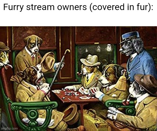 :skull: | Furry stream owners (covered in fur): | image tagged in dogs playing poker | made w/ Imgflip meme maker