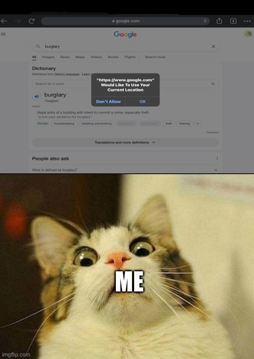 yes i actually searched up burglary and now the FBI wants me | ME | image tagged in help me | made w/ Imgflip meme maker