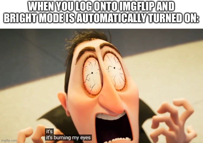 [Insert title here] | WHEN YOU LOG ONTO IMGFLIP AND BRIGHT MODE IS AUTOMATICALLY TURNED ON: | image tagged in it's burning my eyes | made w/ Imgflip meme maker