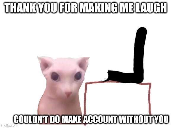 bingus 2022 thanks you | THANK YOU FOR MAKING ME LAUGH; COULDN'T DO MAKE ACCOUNT WITHOUT YOU | image tagged in meme | made w/ Imgflip meme maker