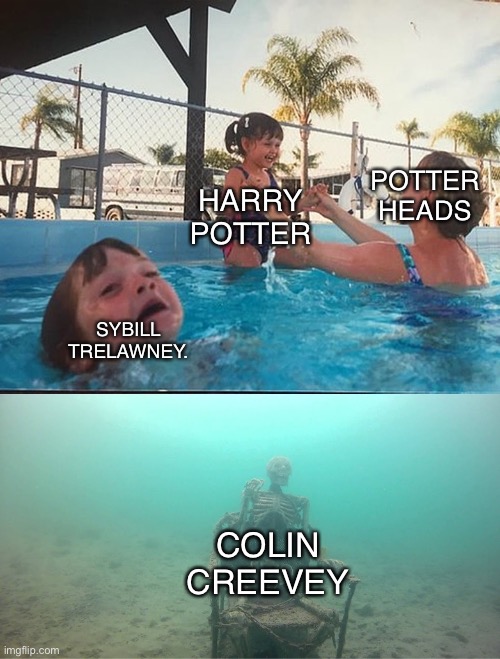 Mother Ignoring Kid Drowning In A Pool | POTTER HEADS; HARRY POTTER; SYBILL TRELAWNEY. COLIN CREEVEY | image tagged in mother ignoring kid drowning in a pool | made w/ Imgflip meme maker